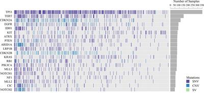 Comprehensive Genomic Profiling of Rare Tumors in China: Routes to Immunotherapy